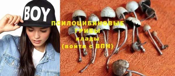 ПСИЛОЦИБИНОВЫЕ ГРИБЫ Заволжск