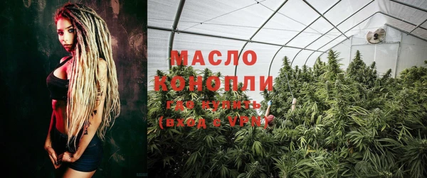 скорость Ельня