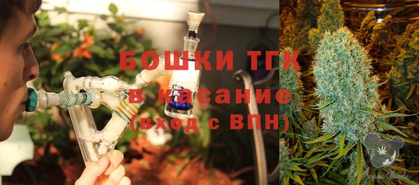 скорость Ельня
