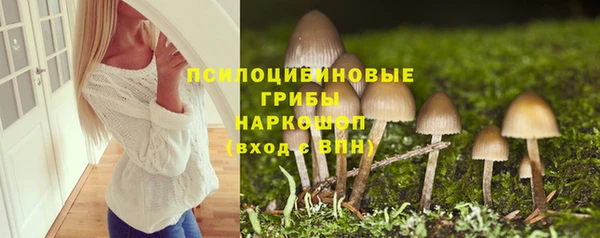 скорость Ельня