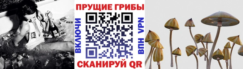 Псилоцибиновые грибы ЛСД  Купить где  Аша 